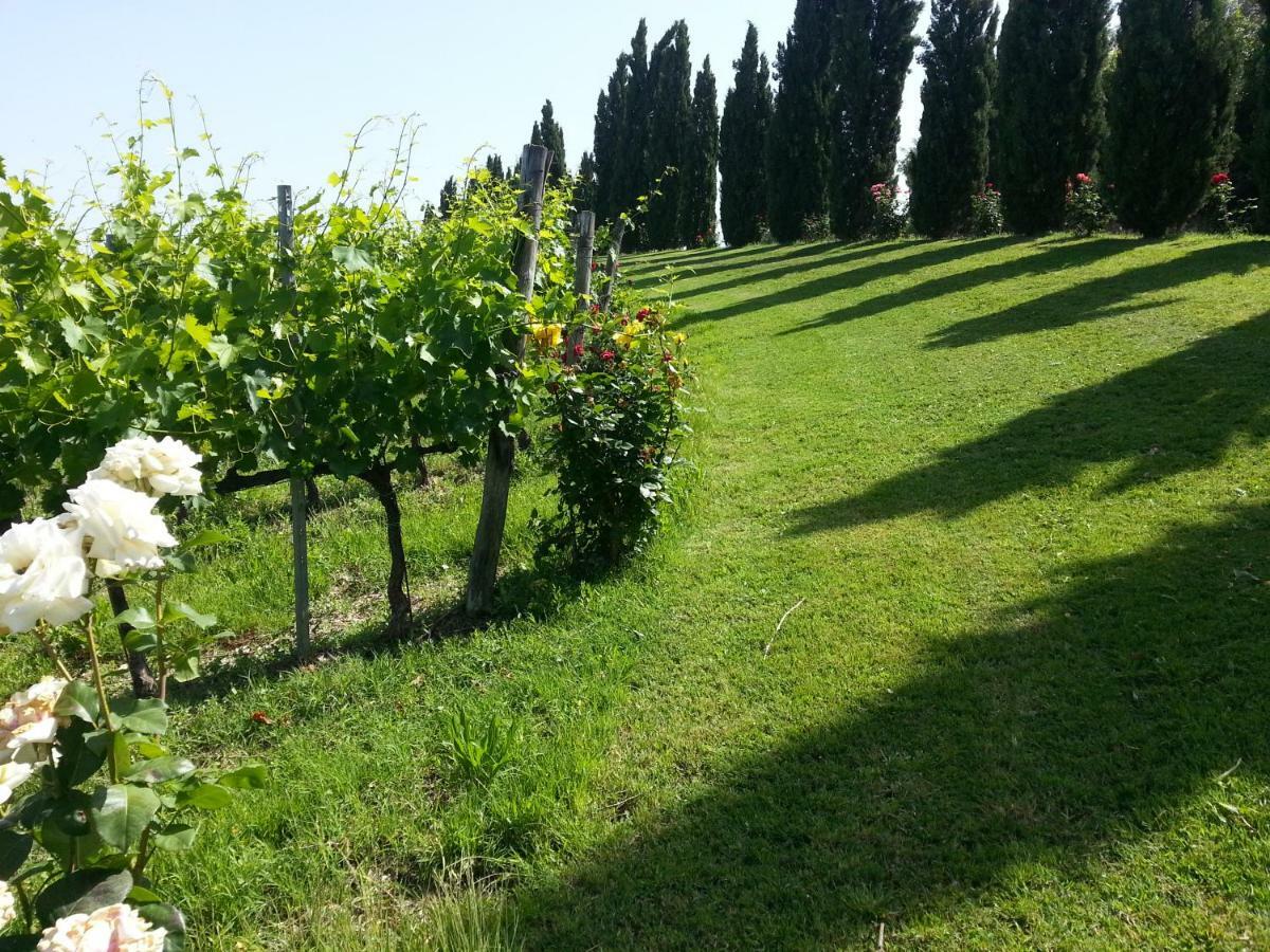 Casale Di Valle Villa วินชี ภายนอก รูปภาพ