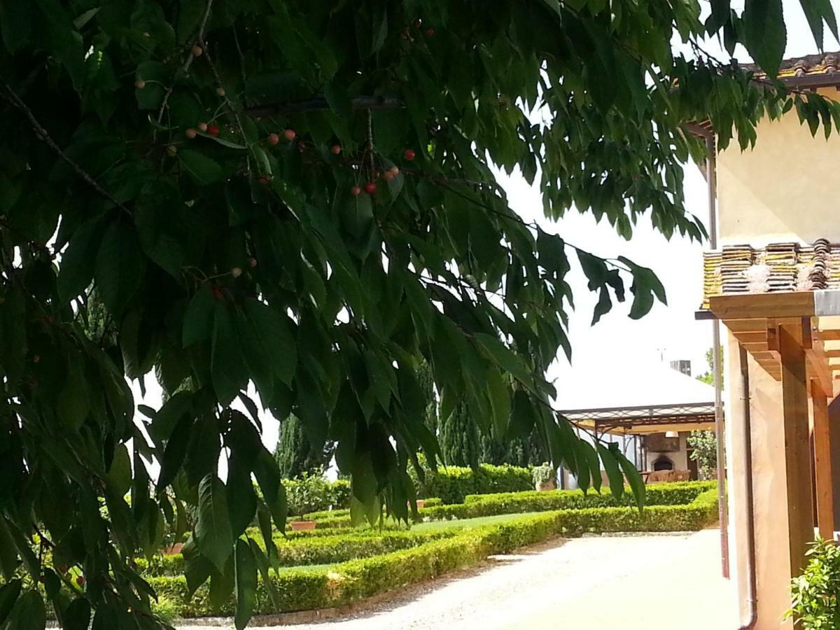 Casale Di Valle Villa วินชี ภายนอก รูปภาพ