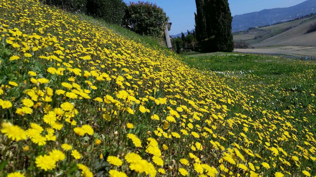 Casale Di Valle Villa วินชี ภายนอก รูปภาพ