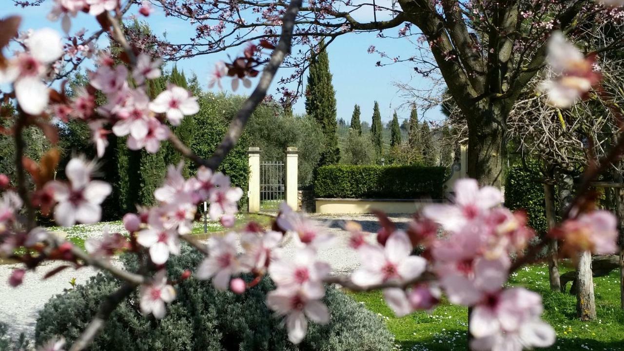 Casale Di Valle Villa วินชี ภายนอก รูปภาพ
