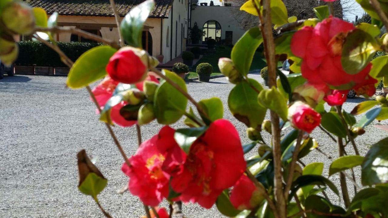 Casale Di Valle Villa วินชี ภายนอก รูปภาพ